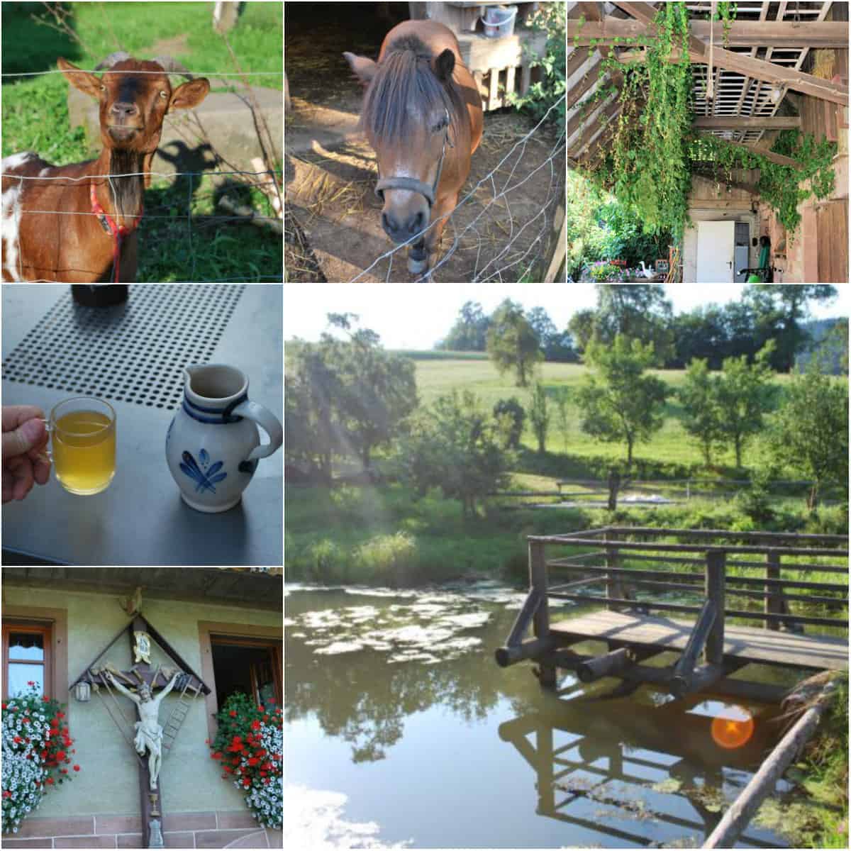 Ferienwohnungen im Kinzigtal